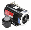 Marathon Motors 3/4 HP Vector Motor,3-Phase,1725 Nameplate RPM,230/460 Voltage,Frame 56C - 056H17E5304