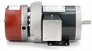 Marathon Motors 1/3 HP Brake Motor,3-Phase,1725 Nameplate RPM,208-230/460 Voltage,Frame 56C - 056T17F5348