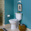American Standard Elongated, Floor, Gravity Fed, Toilet Bowl, 1.28 to 1.6 Gallons per Flush - 3517A101.020