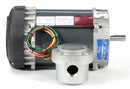 Marathon Motors 1/3 HP Hazardous Location Motor,Capacitor-Start,1725 Nameplate RPM,115/208-230 Voltage,Frame 56C - 056C17G5320