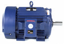 Marathon Motors 30 HP Cooling Tower Motor,3-Phase,1773 Nameplate RPM,230/460 Voltage,Frame 286T - 286TTFCD16572