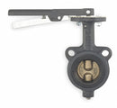 Milwaukee Valve Wafer-Style Butterfly Valve, Cast Iron, 200 psi, 5 in Pipe Size - MW222B 5