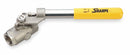 Sharpe Ball Valve, 316 Stainless Steel, Inline, 2-Piece, Pipe Size 1/2 in, Connection Type FNPT x FNPT - SV54576DMH004