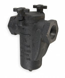 Mueller Steam Specialty Basket Strainer 1-1/4", FNPT x FNPT, BunaN - 11/4 125 CI Iron body screwed
