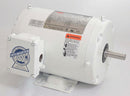 Dayton 3/4 HP Washdown Motor,3-Phase,1745 Nameplate RPM,230/460 Voltage,Frame 56 - 1TTC2