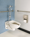 American Standard Elongated, Wall, Flush Valve, Bedpan Holding Toilet Bowl, 1.1/1.6 Gallons per Flush - 2633101.02