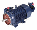Marathon Motors 20 HP Vector Motor,3-Phase,1160 Nameplate RPM,230/460 Voltage,Frame 286TC - 286THFPA8086