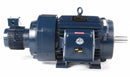 Marathon Motors 40 HP Vector Motor,3-Phase,1770 Nameplate RPM,230/460 Voltage,Frame 324TC - 324THFPA8038