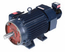 Marathon Motors 30 HP Vector Motor,3-Phase,1170 Nameplate RPM,230/460 Voltage,Frame 326TC - 326THFPA8086