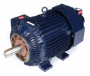 Marathon Motors 100 HP Vector Motor,3-Phase,1785 Nameplate RPM,230/460 Voltage,Frame 405TC - 405THFS8046