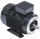 Marathon Motors 3 HP Metric Motor,3-Phase,3500 Nameplate RPM,230/460 Voltage,Frame 90L - 090LT34FH6420