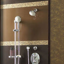 American Standard Shower Head, Wall Mounted, Chrome, 2.5 gpm - 1660650.002