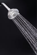 Danze Shower Head, Wall Mounted, Chrome, 2.0 gpm - D460047