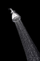 Danze Shower Head, Wall Mounted, Chrome, 2.0 gpm - D460030