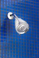 Danze Shower Head, Wall Mounted, Chrome, 2.0 gpm - D460030