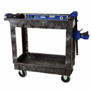 Rubbermaid Utility Cart with Deep Lipped Plastic Shelves, 500 lb Load Capacity, Number of Shelves 2 - FG9T6600BLA