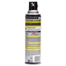 Raid Wasp & Hornet Killer, 14Oz Aerosol - SJN668006