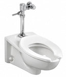 American Standard Exposed, Top Spud, Manual Flush Valve, For Use With Category Toilets, 1.1 Gallons per Flush - 6047111.002