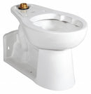 American Standard Elongated, Floor with Back Outlet, Flush Valve, Bedpan Holding Toilet Bowl - 3696001.02