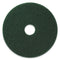 Americo Scrubbing Pads, 17" Diameter, Green, 5/Ct - AMF400317