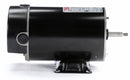 Century 1-1/2 HP Pool and Spa Pump Motor, Capacitor-Start, 115/230V, 48Y Frame - BN35V1