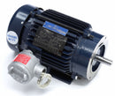 Marathon Motors 1 HP Hazardous Location Motor,3-Phase,1735 Nameplate RPM,230/460 Voltage,Frame 143TC - 143TTGN6551