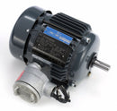 Marathon Motors 3/4 HP Hazardous Location Motor,3-Phase,1145 Nameplate RPM,208-230/460 Voltage,Frame 143T - 143TTGN7076