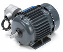 Marathon Motors 3/4 HP Hazardous Location Motor,3-Phase,1145 Nameplate RPM,208-230/460 Voltage,Frame 143T - 143TTGN7076