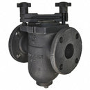 Watts Basket Strainer, 304 SS, 2", Flanged - 2 155M-n