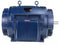 Marathon Motors 300 HP Fire Pump Motor, 3-Phase, 3568 Nameplate RPM, 460 Voltage, 447TS Frame - 447TSTDN7001