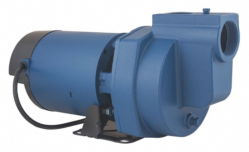 Flint & Walling 120/240V AC Cast Iron Sprinkler Pump, 1-Phase, 2 in NPT Inlet Size - SP20P1