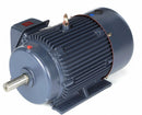 Marathon Motors 20 HP, General Purpose Motor, 3-Phase, 1770 Nameplate RPM, 230/460 Voltage, 256T Frame - 256TTFCD6026
