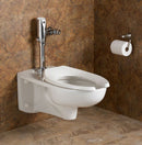 American Standard Elongated, Wall, Flush Valve, Bedpan Holding Toilet Bowl, 1.28 to 1.6 Gallons per Flush - 2296019EC.020