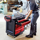 Rubbermaid Mobile Cabinet Workbench, Structural Foam Plastic, 19 13/16 in Depth, 33 1/2 in Height, 32 5/8 in Wi - FG773488BLA