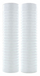 Trident 54JJ98 - Filter Cartridge 50 Microns PK2