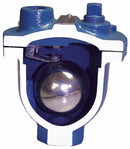 Val-Matic 175 psi Clean Water Air Release Valve, 3/4 in Inlet Size, 1/2 in Outlet Size - 15A.2