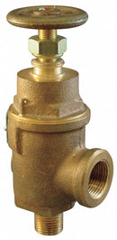 Kunkle Bronze Adjustable Relief Valve, FNPT Inlet Type, MNPT Outlet Type - 0019-E12-MG0225