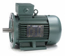 Leeson 5 1/2 HP Premium Efficiency Metric Motor,3-Phase,1755 Nameplate RPM,230/460 Voltage,Frame DF112MD - 193340.6