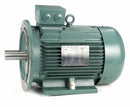 Leeson 10 HP Premium Efficiency Metric Motor,3-Phase,1765 Nameplate RPM,230/460 Voltage,Frame DF132MD - 193346.6