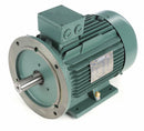 Leeson 10 HP Premium Efficiency Metric Motor,3-Phase,1765 Nameplate RPM,230/460 Voltage,Frame DF132MD - 193346.6