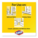 Clorox Urine Remover For Stains And Odors, 32 Oz Spray Bottle, 9/Carton - CLO31036CT