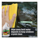 CLR PRO Calcium, Lime And Rust Remover, 1 Gal Bottle, 4/Carton - JELCL4PRO