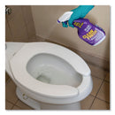 Simple Green Clean Finish Disinfectant Cleaner, 32 Oz Bottle, Herbal, 12/Carton - SMP01032
