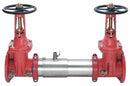 Watts Double Check Valve Assembly, Iron Valves, Stainless Steel Body, Watts 757 Series, Flanged Connection - 757 OSY 6