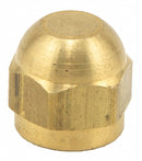 Watts Brass Cap, For Use With: Watts Series SAE-TC, 1/8 in SAE - SAE-TC Brass Cap 1/8 SAE