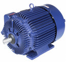 Marathon Motors 40 HP Hazardous Location Motor,3-Phase,3545 Nameplate RPM,230/460 Voltage,Frame 324TS - 324TSTGS6501