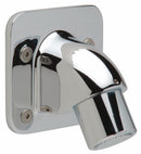 Zurn Shower Head, Wall Mounted, Chrome, 2.5 gpm - Z7000-I2