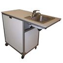 Monsam PSE-2020 ADA Stainless Steel Sink