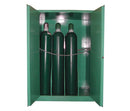 Securall MG309H Self-Latch Self-Close Safe-T-Door for Medical Gas Cabinet for Storing Oxygen Cylinders