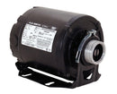 Century AO Smith CB2034A OEM Pump Motor, 1/3 HP, Split-Phase, 1725 RPM, 115V, 48Y Frame